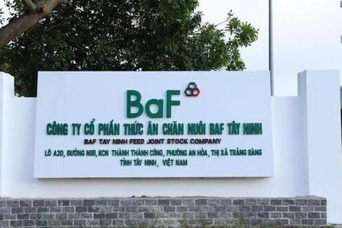 Nông nghiệp BAF Việt Nam (BAF) dự chi cổ tức với tổng tỷ lệ 20%, đặt mục tiêu lãi kỷ lục năm 2026