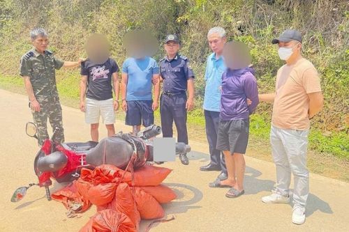 Phát hiện, thu giữ hơn 59 kg vảy động vật nghi là vảy tê tê
