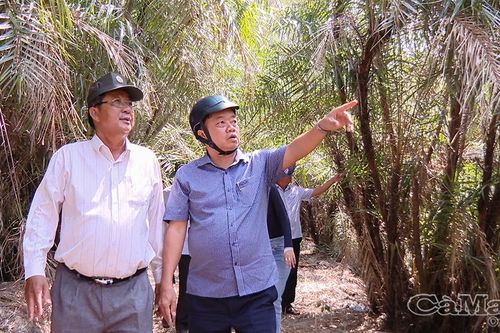 Đánh thức tiềm năng du lịch sinh thái và siết chặt quản lý rừng phòng hộ