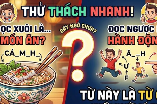 Tiếng Việt lắt léo: Từ nào đọc xuôi là món ăn, đọc ngược lại thành hành động?