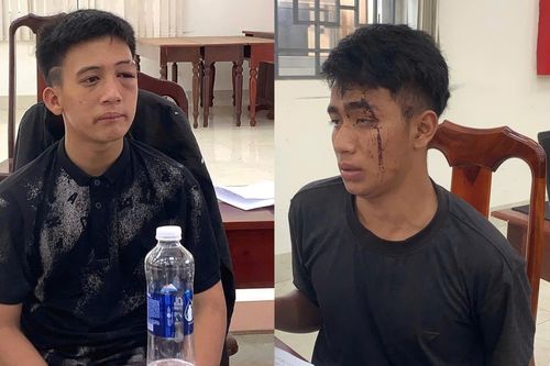 Hai tên trộm ô tô không biết lái xe, gây tai nạn rồi leo cây dừa trốn ở Đắk Lắk