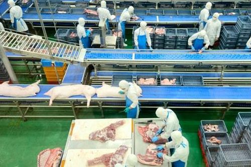 Hà Nội quy hoạch điểm giết mổ tập trung, tháo gỡ 'điểm nghẽn' về an toàn thực phẩm