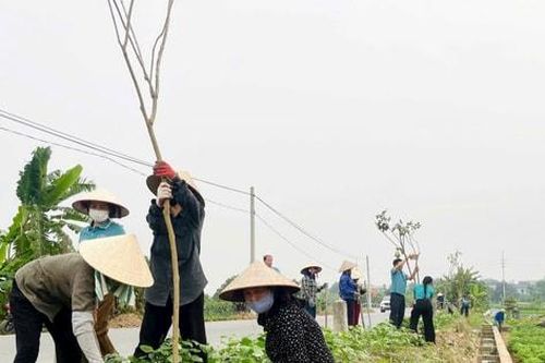 Hội Nông dân xã Hạ Bằng chung tay xây dựng nông thôn mới từ những 'đường hoa'