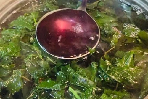 Loại rau được ví 'lá hồi sinh' chỉ 1–2k/mớ cực nhiều ở nước ta, ngày hè đem làm nước giải nhiệt cực tốt