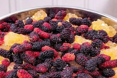 Dâu tằm ngâm nổi váng: Độc tố cần loại bỏ hay chỉ hớt váng là được?