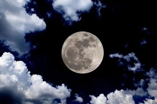 Trăng non ngày 17/4: Bạn đang mở cánh cửa của cơ hội, sự kết nối và bứt phá