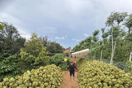 'Chìa khóa' phát triển chuỗi giá trị bền vững