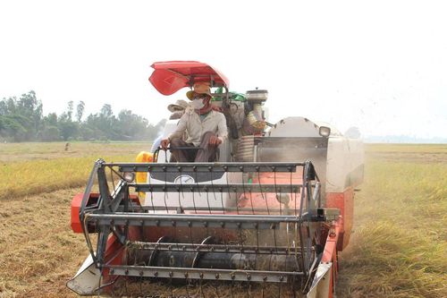 Cơ hội để nông nghiệp Việt Nam tăng tốc hiện đại hóa