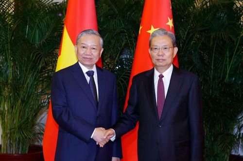 Tổng Bí thư, Chủ tịch nước hội kiến Ủy viên trưởng Nhân đại Trung Quốc