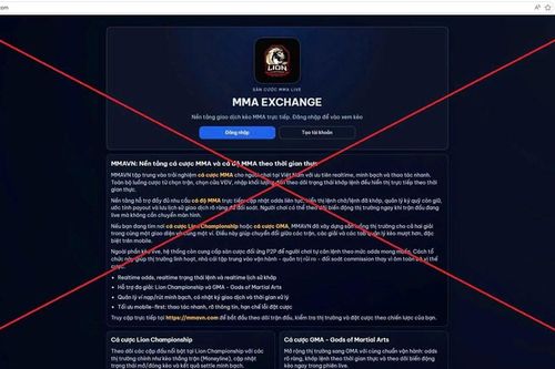 Liên đoàn Võ thuật tổng hợp Việt Nam cảnh báo website có dấu hiệu cá cược trái phép liên quan tới MMA
