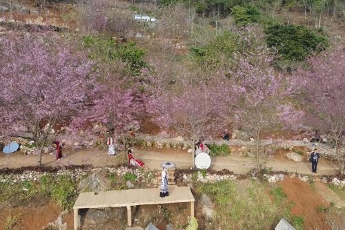 Đưa Mộc Châu trở thành điểm đến hấp dẫn của vùng Tây Bắc