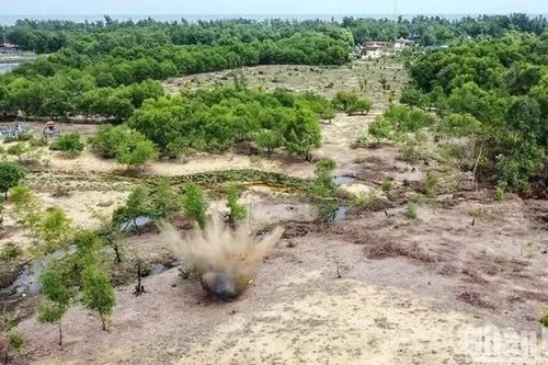 Nơi đất chưa lành, sự sống vẫn hồi sinh