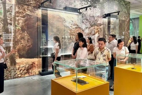 Bảo tàng Hà Nội trở thành điểm du lịch cấp thành phố