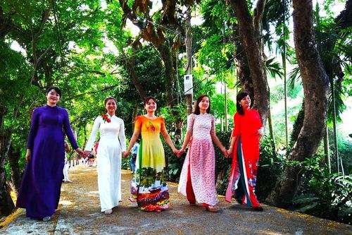 Sưa vàng trong ngọn bấc tháng Ba…
