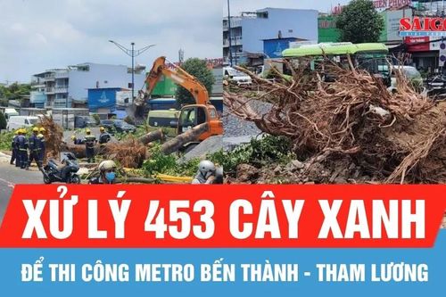 Xử lý 453 cây xanh để thi công metro Bến Thành - Tham Lương
