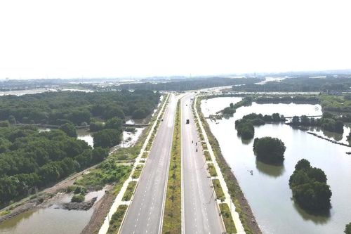 Tăng tốc thi công đường ven biển Vũng Tàu - Bình Thuận, nhiều đoạn sắp về đích