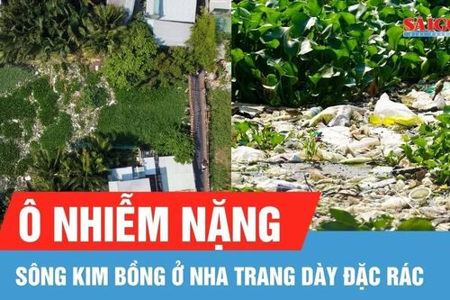 Sông Kim Bồng ở Nha Trang ô nhiễm nặng