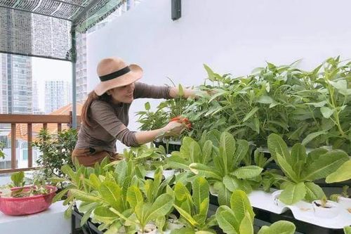 Nông nghiệp đô thị - Tương lai nông nghiệp trong lòng TPHCM