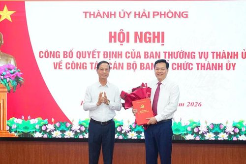 Hải Phòng bổ nhiệm Phó Trưởng Ban Tổ chức Thành ủy