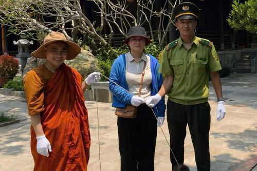 Khỉ mặt đỏ quý hiếm 'đi lạc' vào chùa ở Huế