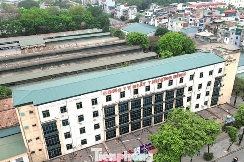 Giầy Thượng Đình muốn xây tổ hợp cao ốc 40 tầng gần 10.000 tỷ đồng tại khu 'đất vàng'
