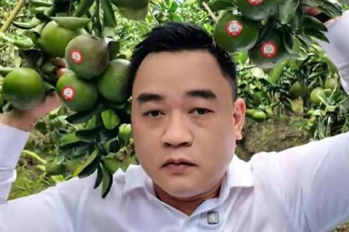 Hành trình từ trái xoài keo đến quả cam sành: A&D Hoàng Long nâng tầm giá trị trái cây Việt
