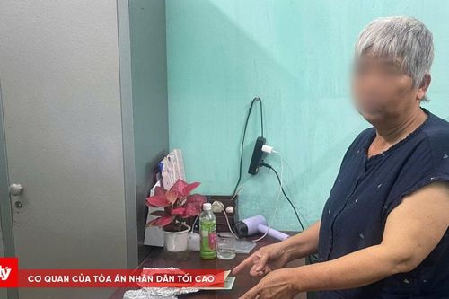 Bắt giữ đối tượng trộm cắp tại sự kiện 'Thanh âm kỷ nguyên mới'