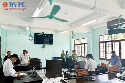 VKSND Khu vực 2 tỉnh Đồng Tháp tham gia phiên họp áp dụng biện pháp xử lý chuyển hướng
