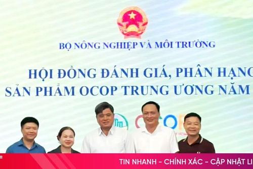 Hà Tĩnh lần đầu tiên có sản phẩm đủ điều kiện công nhận OCOP 5 sao