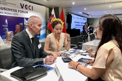 TP Hồ Chí Minh sẵn sàng đồng hành dài hạn cùng doanh nghiệp Slovakia
