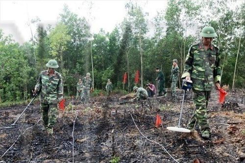 Đẩy nhanh tiến độ rà phá bom mìn phục vụ tìm kiếm, quy tập hài cốt liệt sĩ ở địa bàn trọng điểm