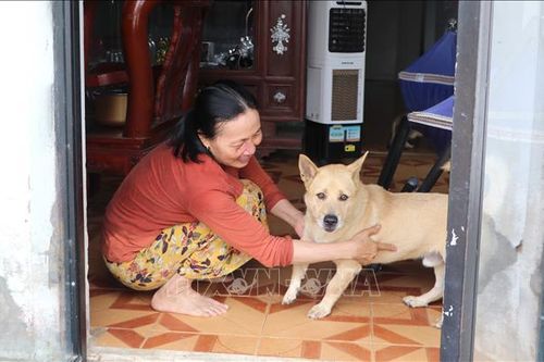 Cảnh báo nguy cơ bệnh dại khi chuyển thời tiết nắng nóng
