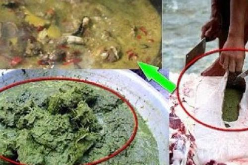 Nghe tên đã rùng mình, đặc sản này lại được xem là món ngon thượng hạng