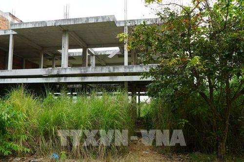 Dự án 1.000 tỷ của FLC tại Đồng Tháp: Nhếch nhác, cỏ mọc um tùm