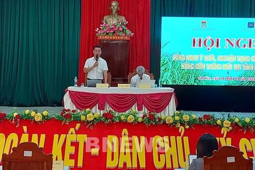 Ngành mía đường trước 'bài toán kép': Chi phí tăng, đầu ra thu hẹp