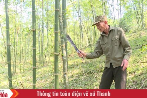 Gieo mồ hôi trên đất dốc, thu trái ngọt