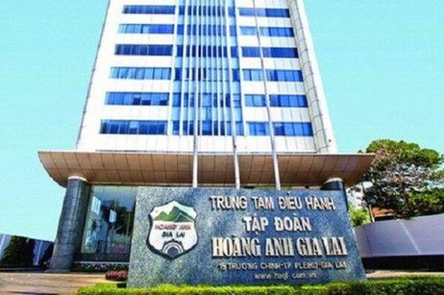 Hoàng Anh Gia Lai đặt mục tiêu lãi hơn 11,5 tỷ mỗi ngày, dồn lực vào cà phê và dâu tằm