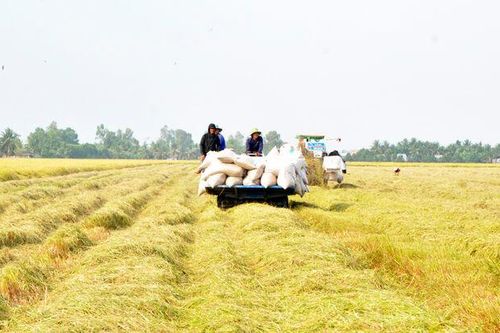 Làm thật để nghị quyết 'bén rễ'