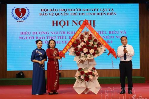 Biểu dương người khuyết tật tiêu biểu, người bảo trợ tiêu biểu