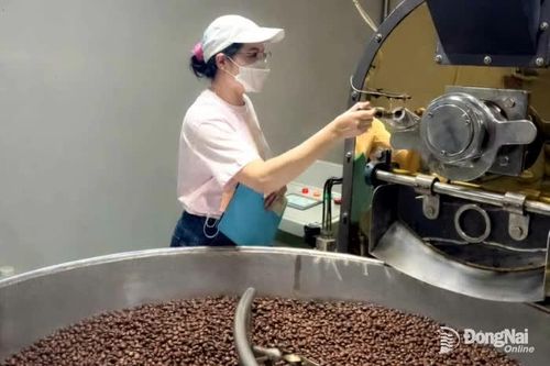 Chế biến sâu để nâng cao giá trị cà phê Việt