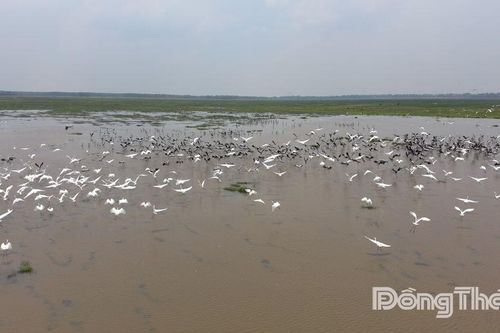 Vận hành hệ sinh thái rừng bằng công nghệ