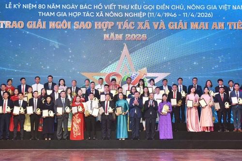Giải thưởng Mai An Tiêm và bước chuyển của nông sản Gia Lai