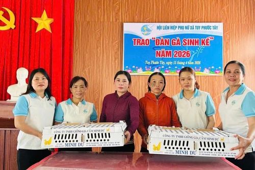 Hội LHPN xã Tuy Phước Tây trao 'đàn gà sinh kế' cho hội viên nghèo, cận nghèo