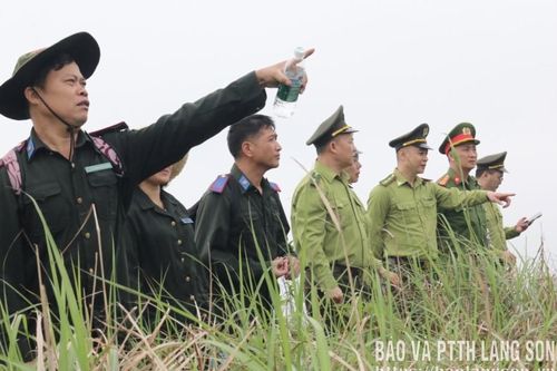 Hạt Kiểm lâm khu vực Lộc Bình phối hợp tổ chức tuần tra, kiểm soát bảo vệ rừng khu vực biên giới