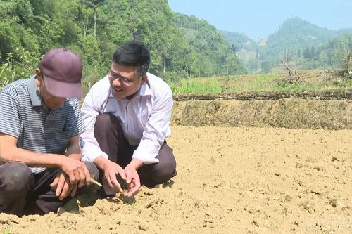 Pha Long vào vụ sản xuất mới