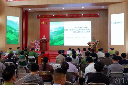 Tả Củ Tỷ tổ chức tập huấn phòng cháy, chữa cháy rừng năm 2026