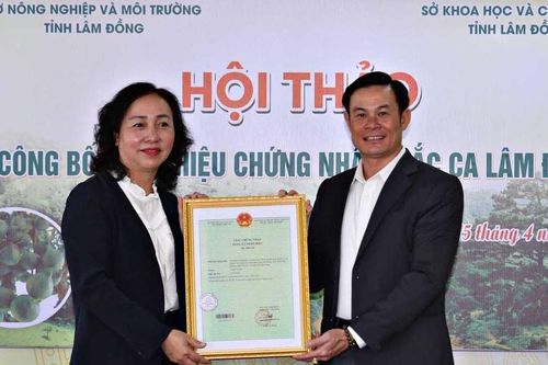 Ra mắt nhãn hiệu chứng nhận 'Mắc ca Lâm Đồng'