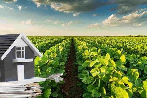 Chính sách giảm tiền sử dụng đất khi chuyển đổi mục đích từ năm 2026