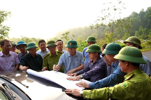 Quyết tâm bảo vệ an toàn diện tích rừng trên địa bàn