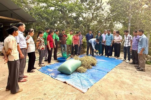 Xử lý rác thải hữu cơ và đệm lót sinh học trong chăn nuôi